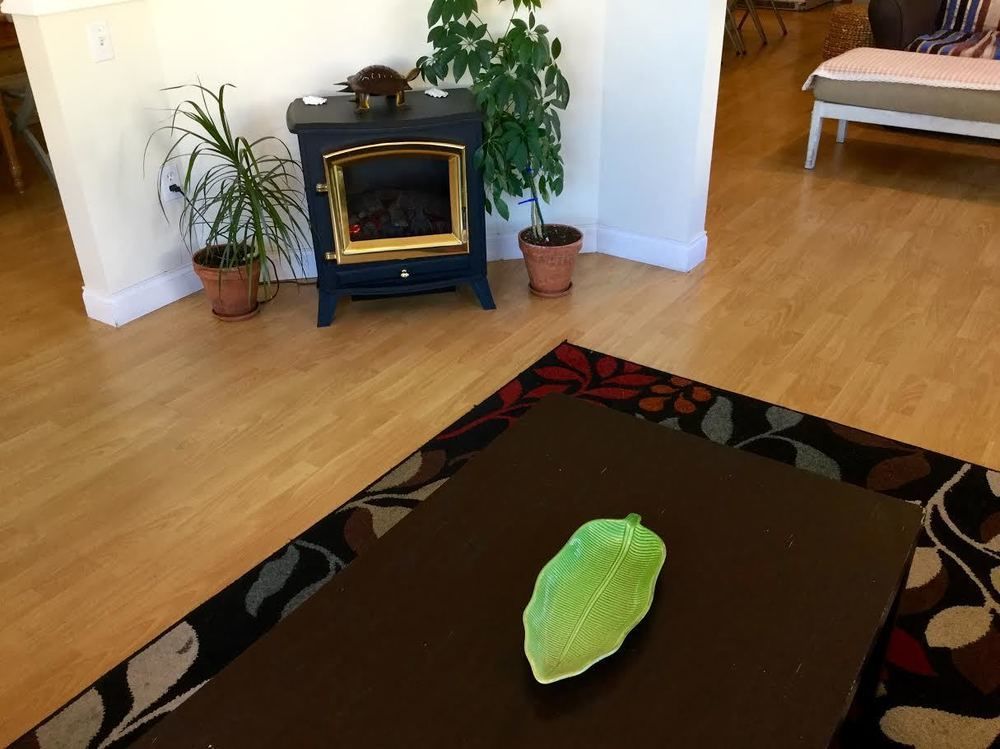 Painted Turtle Guesthouse Nanaimo Dış mekan fotoğraf